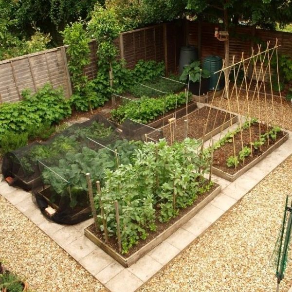 How to Plan a Vegetable Garden: A Step-by-Step Guide - Gardeners' Magazine