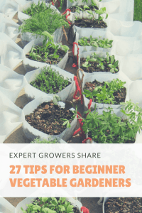 27 Tips For Beginner Vegetable Gardeners To Grow More Food