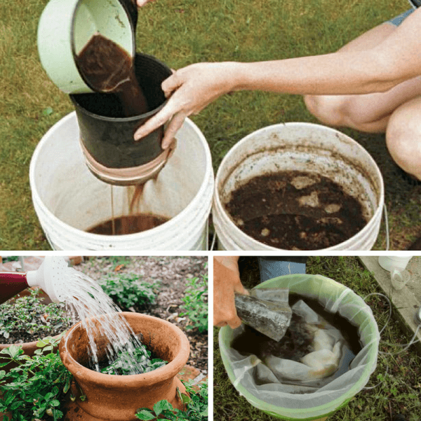 5 Of The World's Best Homemade Vegetable Garden Fertilizers