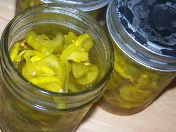 Zesty Bread And Butter Pickles 