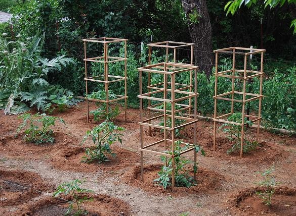 Bamboo Tomato Cage