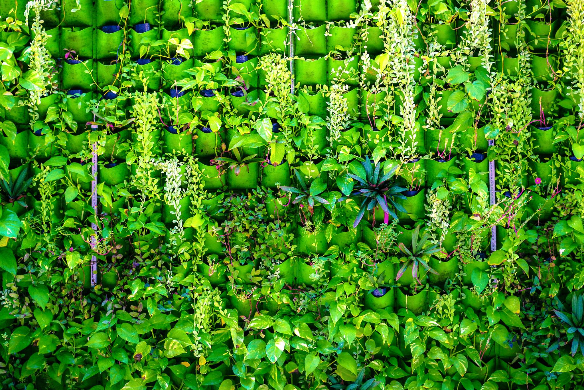 Amazing Ideas For Vertical Garden