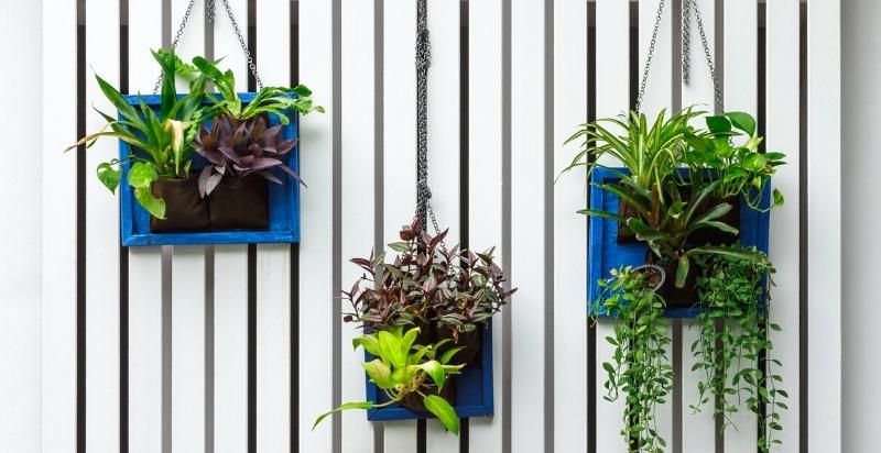 Fenced Vertical Garden