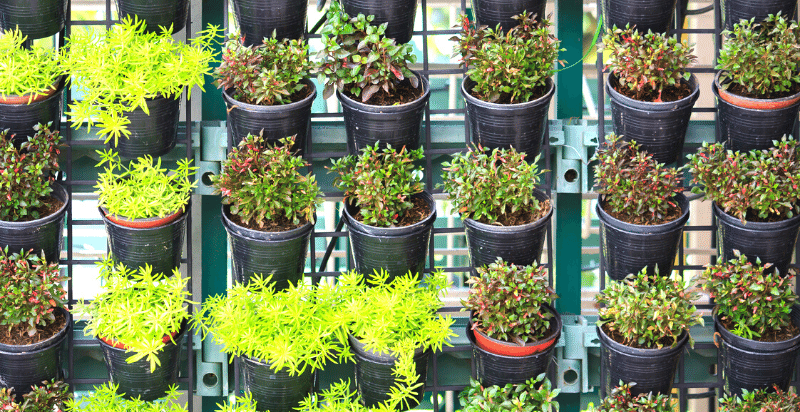 Grid based vertical garden