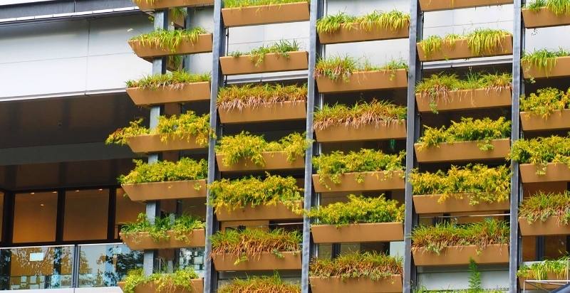 Parkside living wall