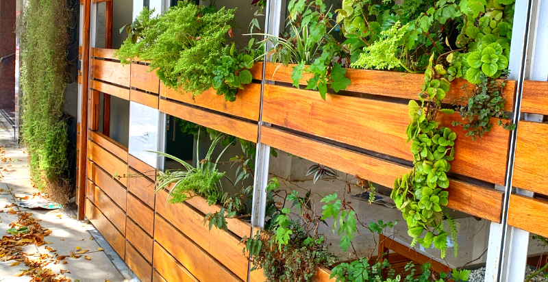  Plywood Vertical Garden