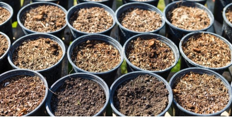 Many pots filled with soil and manure