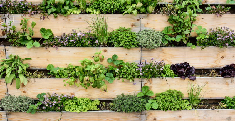 Rack-styled vertical garden