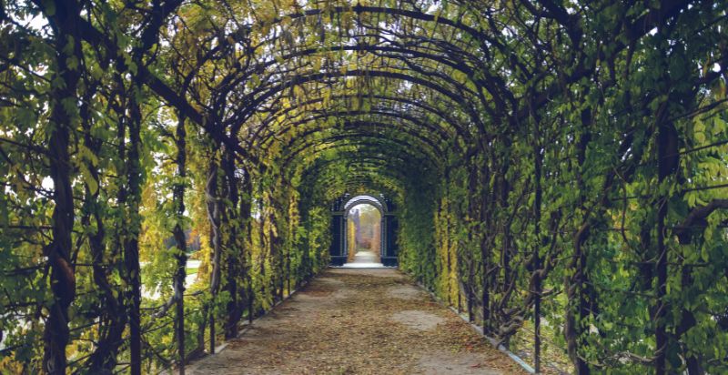 Roof Hanging Garden