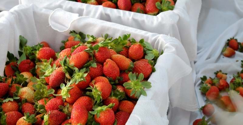 Strawberries in a basket