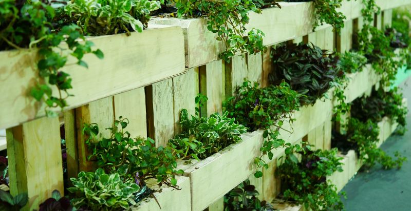 Using crates to start your vertical garden