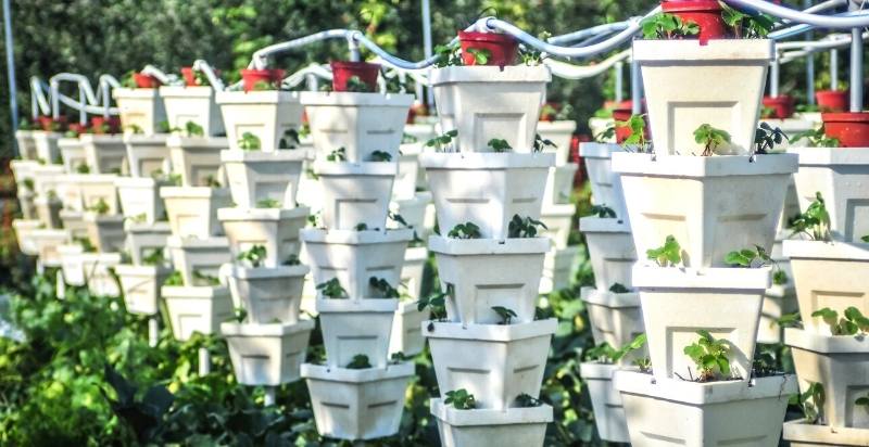 Vertical Garden Tower