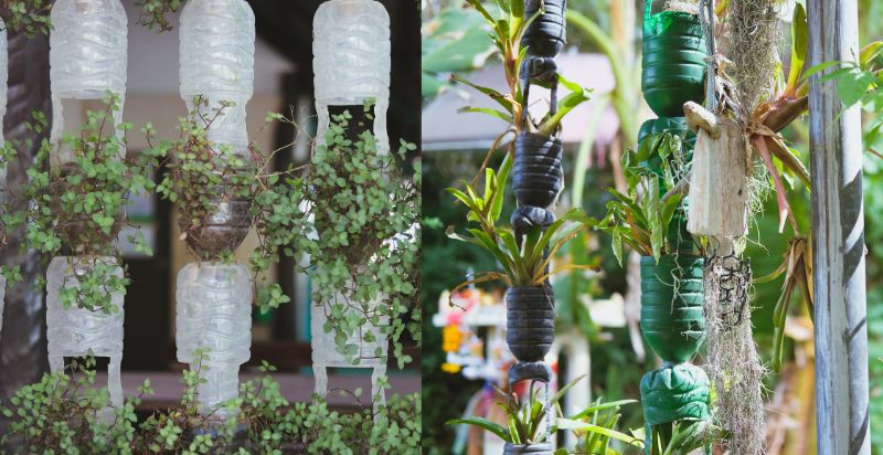 Vertical Gardening Using Plastic Bottles