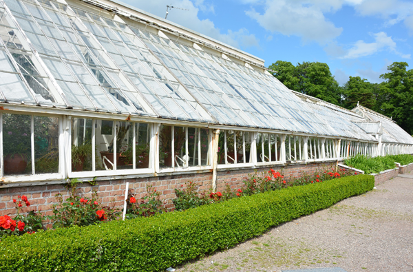 how-to-start-a-greenhouse-for-beginners-gardeners-magazine