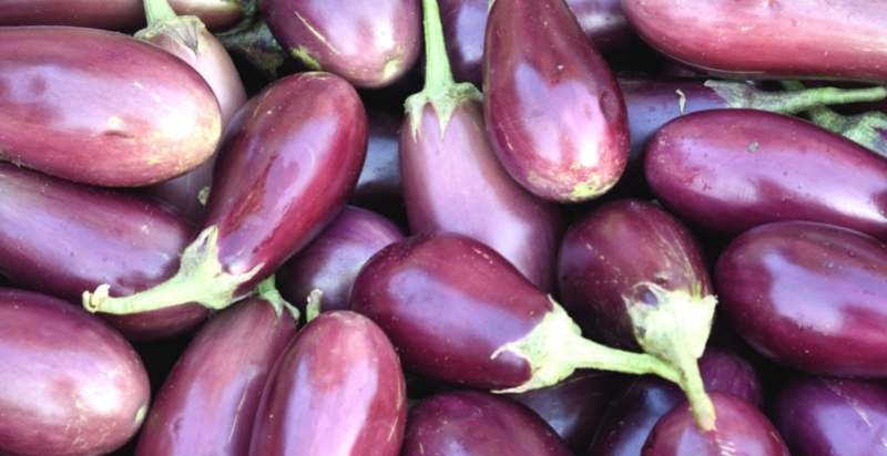 Eggplant