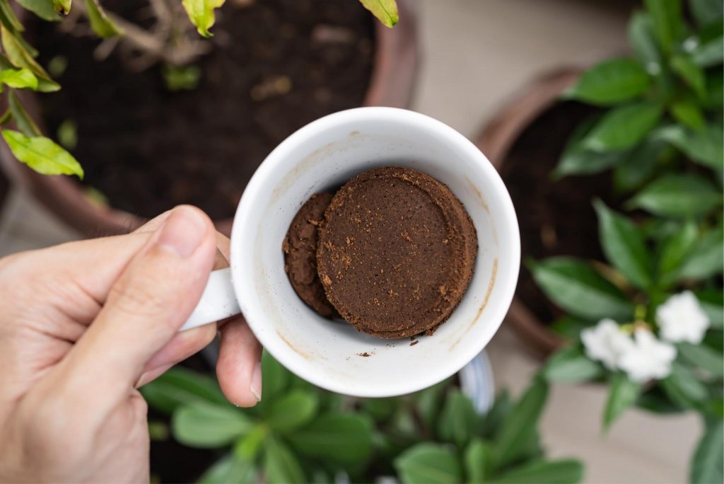 A CommonSense Guide To Gardening With Coffee Grounds Gardeners' Magazine