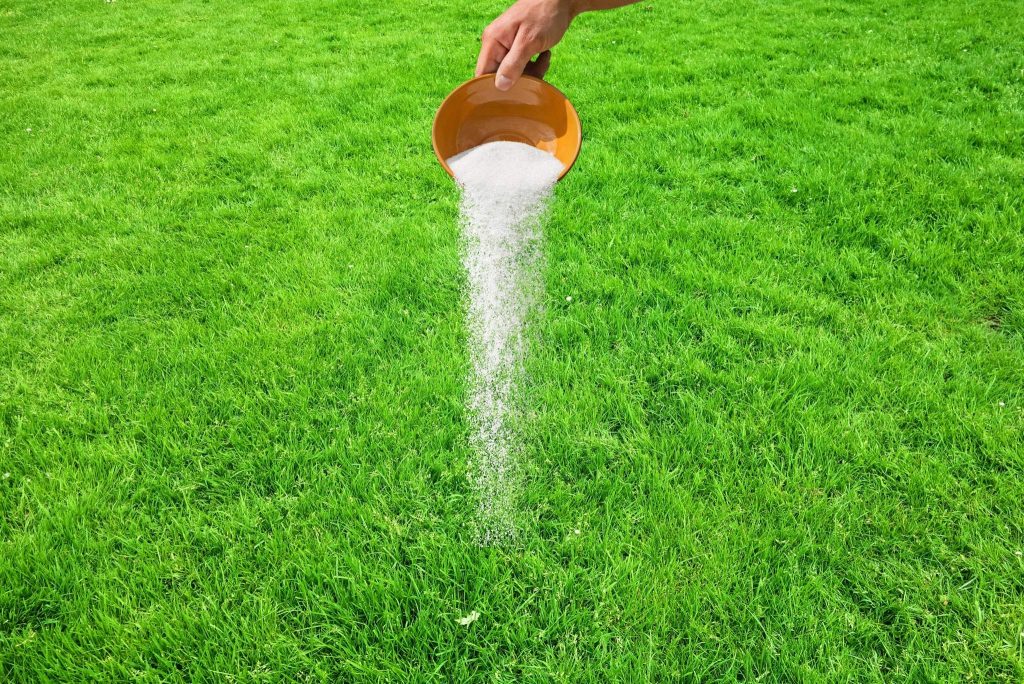 putting-salt-on-grass-everything-you-want-to-know-gardeners-magazine