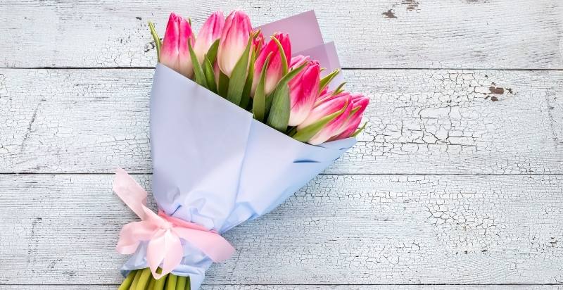 bouquet of Tulips 