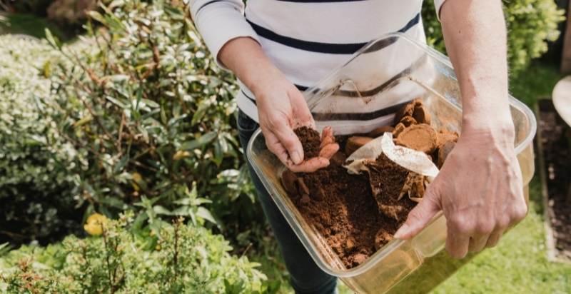 Using Coffee Grounds As Compost