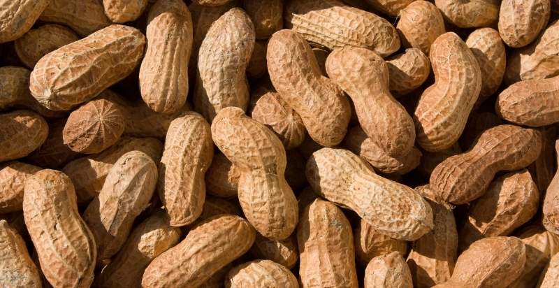 What are Peanuts