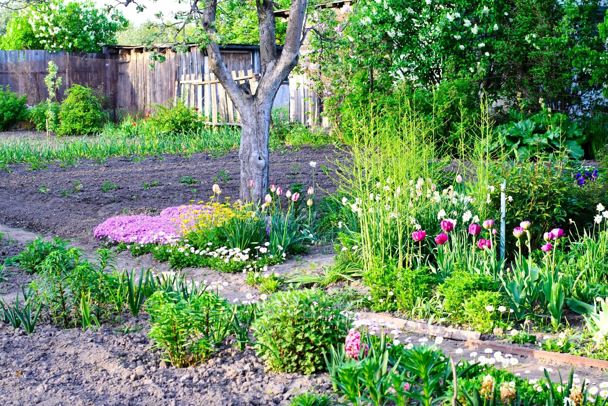 Cottage Garden