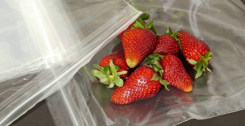 Store Strawberries In Airtight Container