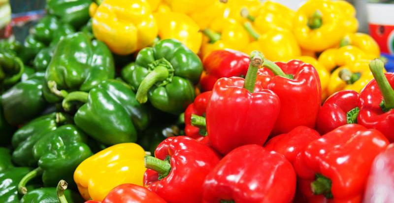 types of bell pepper