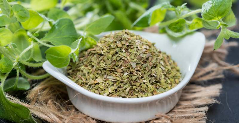 uses of oregano