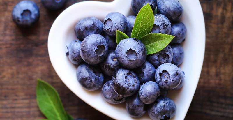 harvested blueberries