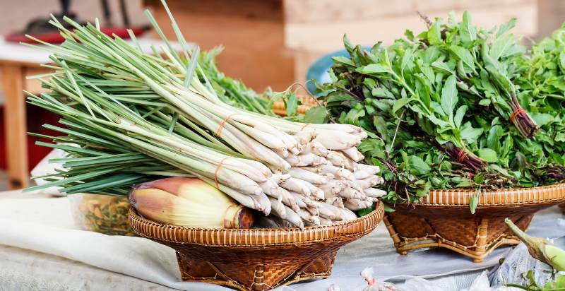 harvested lemongrass plant