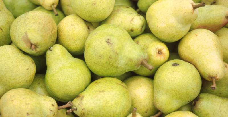 harvested pears
