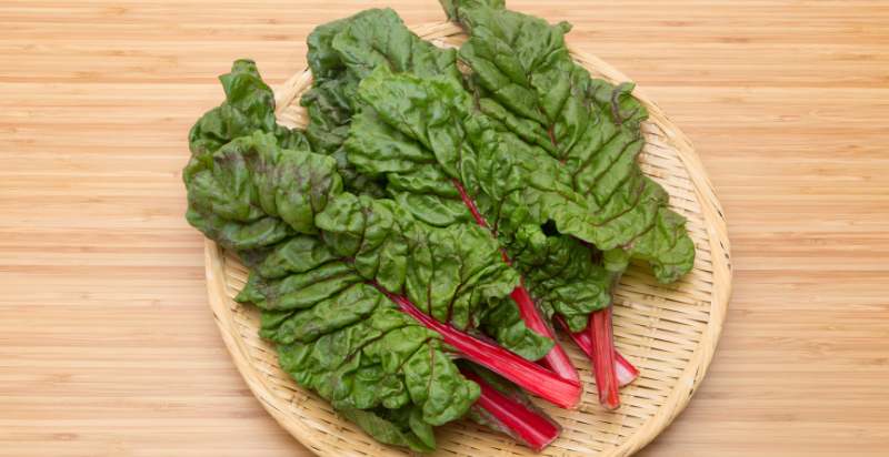 harvested swiss chard