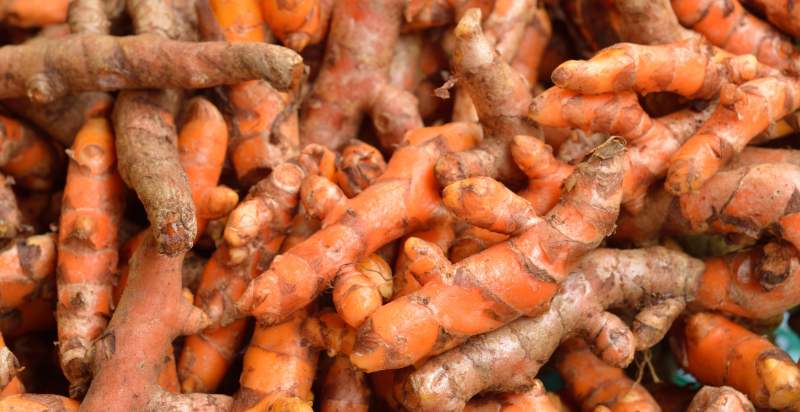 storage of turmeric