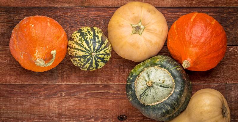 types of winter squash