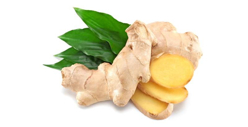 ginger leaves uses