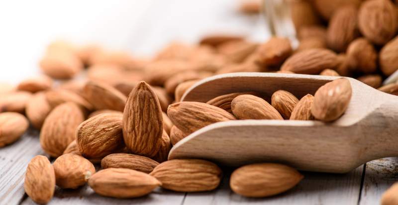 harvested almond