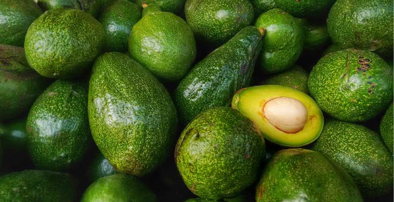 harvested avocados