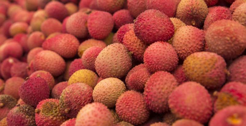 harvested lychees