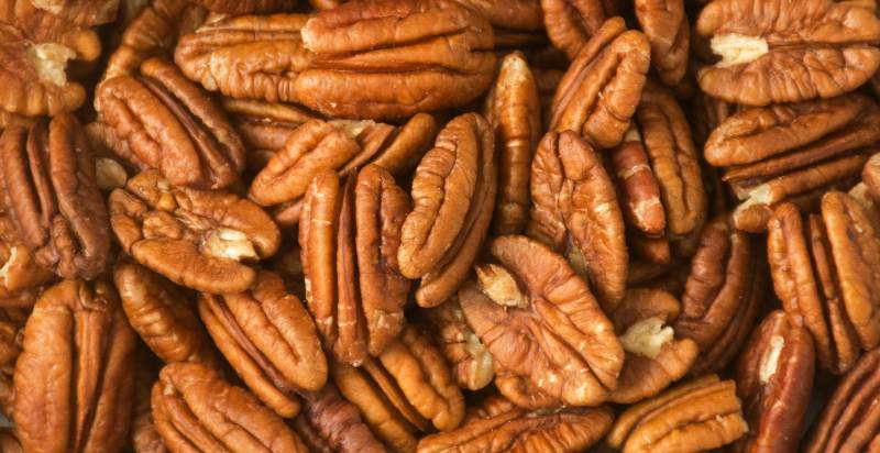 harvested pecans