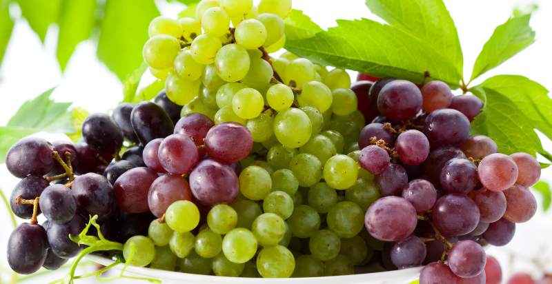 types of grapes