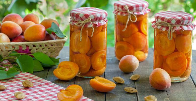 uses of apricots