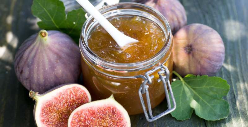 uses of fig