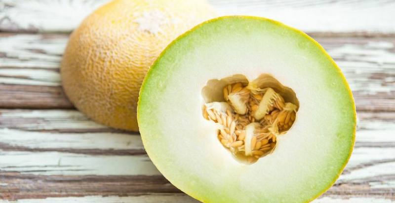 arava melons uses