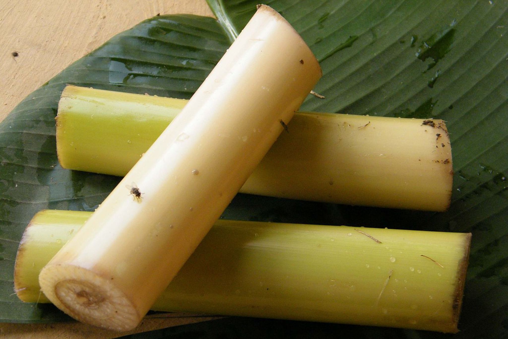 Banana stem