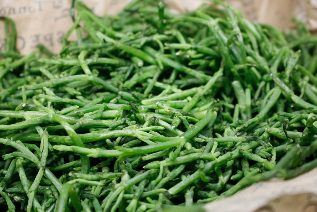 Sea Beans Origin, Flavor, Nutritional Values, Health Benefits, And