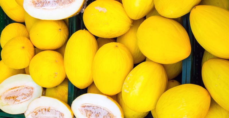 Harvested Canary Melon