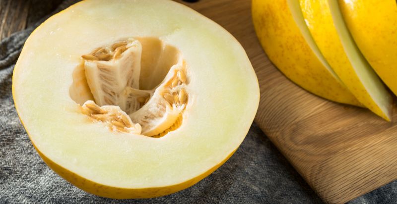 Uses of Canary Melon