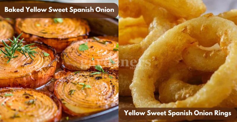 Baked Yellow Sweet Spanish Onion and Onion Rings