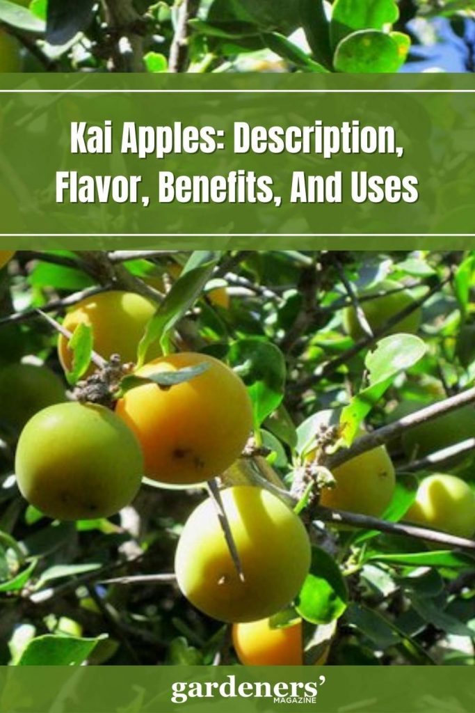 kai apple description