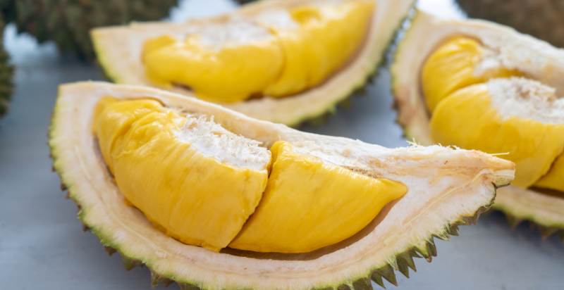 musang king durian harvested